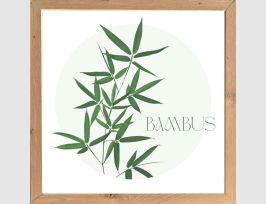 Abb. Bild Bambus im Holzrahmen