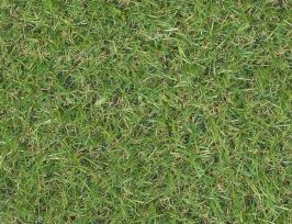 Abb. Kunstrasen Ivy Grün