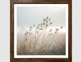 Abb. Bild Gräser im Morgenlicht