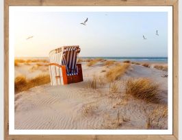 Abb. Bild Strandkorb in den Dünen