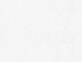 Abb. Vliestapete Putzstruktur Weiß