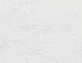 Abb. Vliestapete Betonoptik Hellgrau, Silber