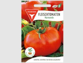 Abb. Fleischtomate Marmande
