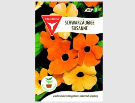 Abb. Schwarzäugige Susanne