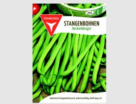 Abb. Stangenbohnen Neckarkönigin