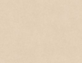 Abb. PVC Hermes Uni Beige 2m