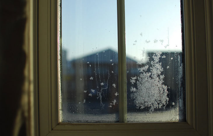 Nasse Fenster im Winter: Kondenswasser führt zu Schimmel