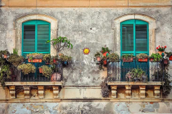 Winterharte Balkonpflanzen – So schmücken Sie Ihren Balkon im Winter
