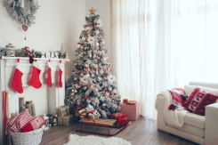 Der perfekte Weihnachtsbaum: So finden und länger haltbar machen!
