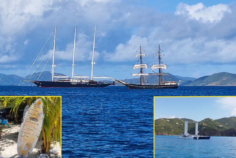 BVI Inselwelt