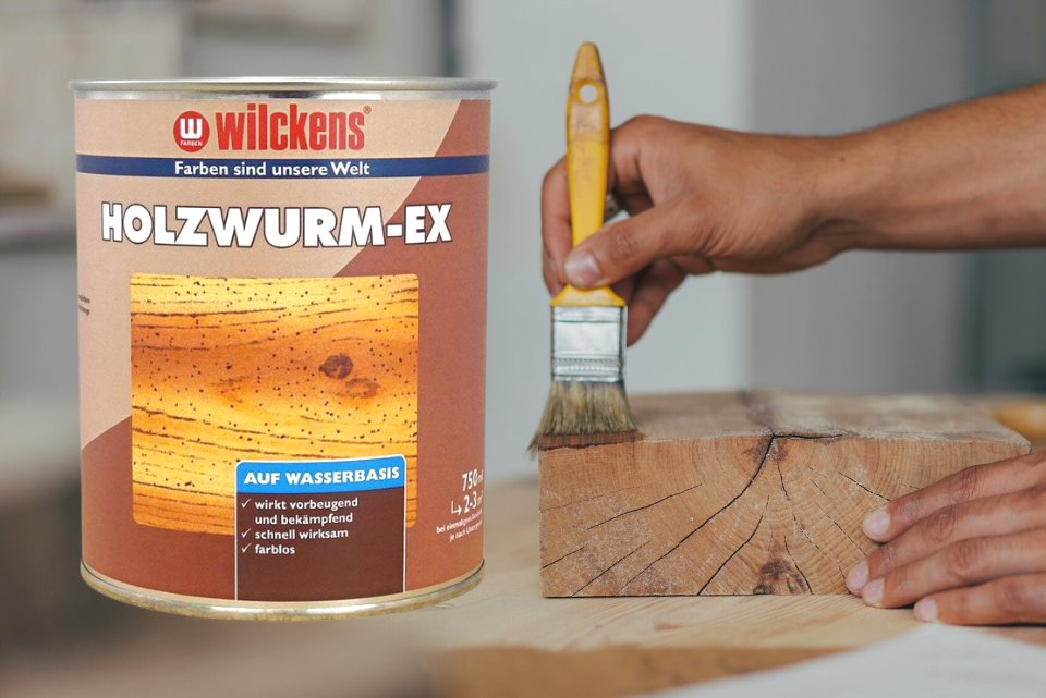 Holwurm bekämpfen mit Holzwurm Ex