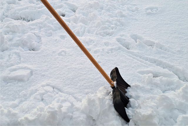 Eine Schneeschaufel gehört bei jedem Winterdienst zur Grundausrüstung.