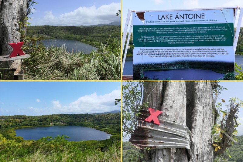 Lake Antoine Grenada