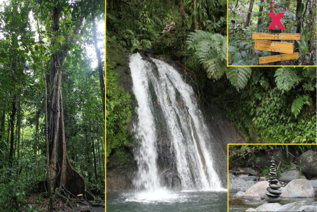 Nationalpark Guadeloupe