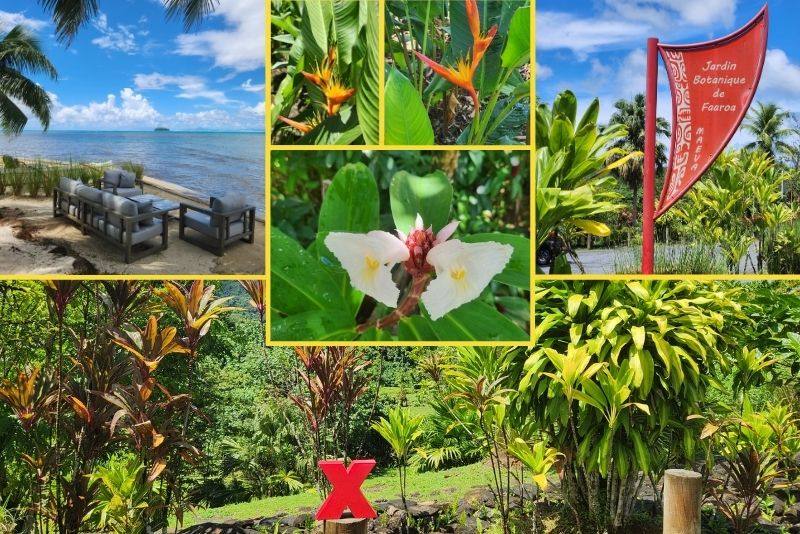 raiatea