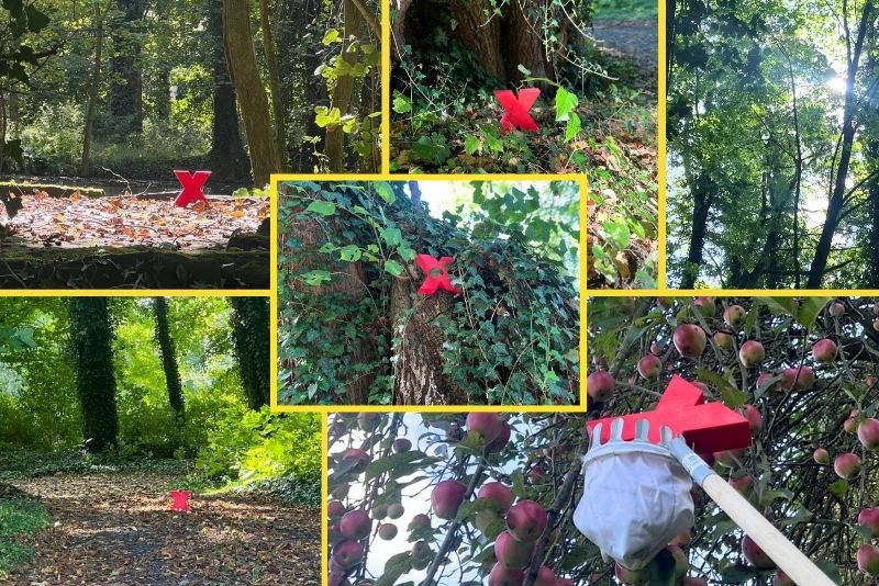 Waldspaziergang