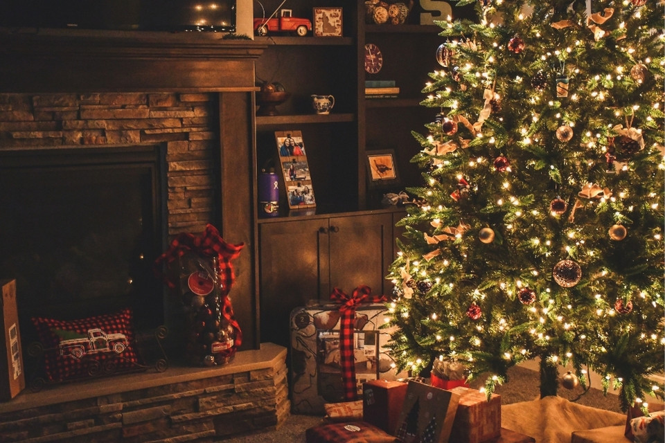 Tipps um den Weihnachtsbaum länger frisch zu halten.